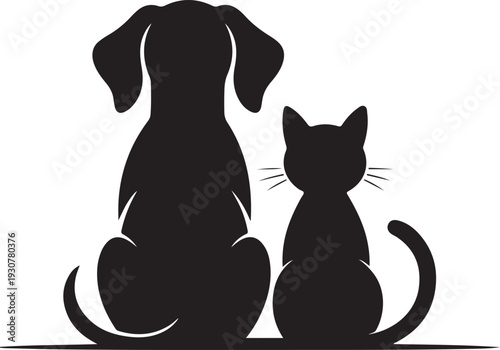 Cat and dog on a white background