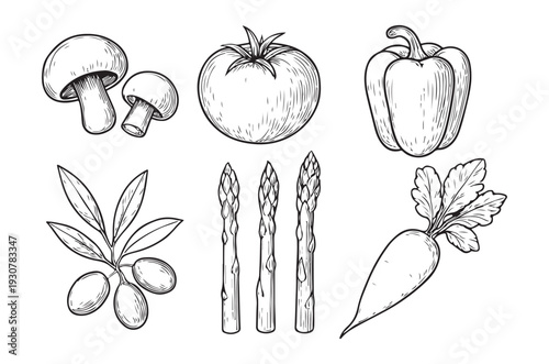 Hand drawn illustration of fresh vegetables and mushrooms in black and white