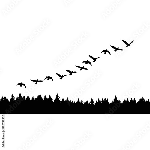 Monochrome landscape of a distant treeline with a flock of birds in silhouette.