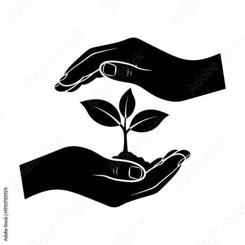 Tender Hands Nurturing a Seedling for Sustainable Growth.