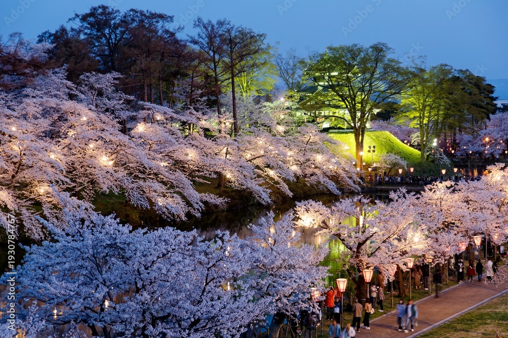 Fototapeta premium Under the twilight sky, Takada Castle emerges like a dream, wrapped in a pale pink haze of cherry blossoms. Golden lanterns cast a warm glow, turning the moat into a mirror of shimmering light and fal