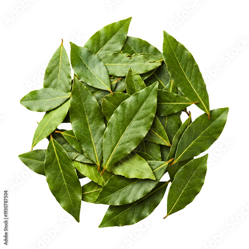 Fresh bay leaves isolated overhead shot
