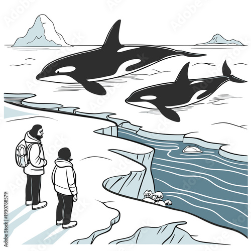 Orcas swim near icy arctic landscape with two observers