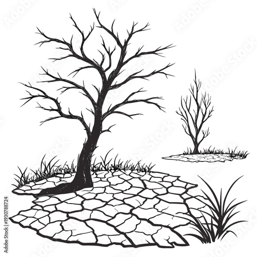 Black and white of bare trees on dry cracked earth