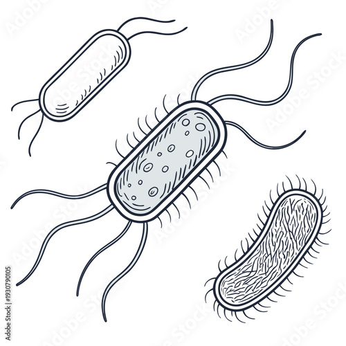 Ultra realistic of capsule shaped bacteria microorganisms