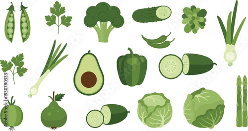 Flat vector illustration of fresh green vegetables including broccoli avocado bell pepper cucumber cabbage peas and asparagus for healthy organic nutrition and diet concepts.
