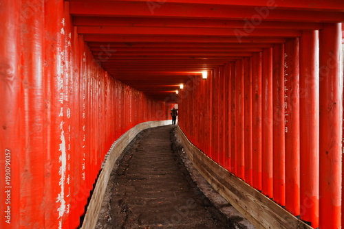 Red Torii Gates Tunnel at Jintoku Inari Shrine in Kanoya Kagoshima Japan - 日本 鹿児島県 神徳稲荷神社 赤い千本鳥居