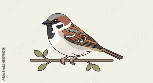 Small Sparrow Bird Perched on Branch.