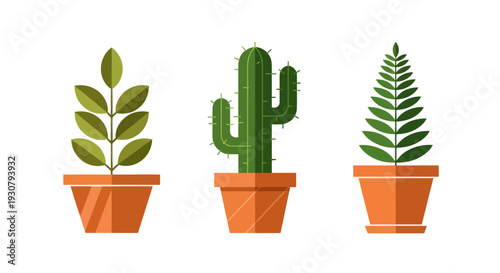 Potted Plants with Various Green Foliage.