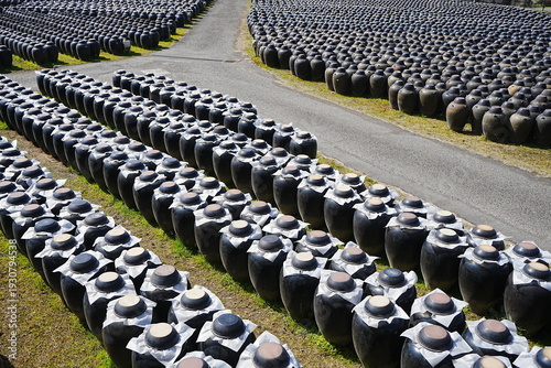 Traditional Black Vinegar Jars Tsubobatake Field in Kagoshima, Japan - 日本 鹿児島 黒酢 壺畑