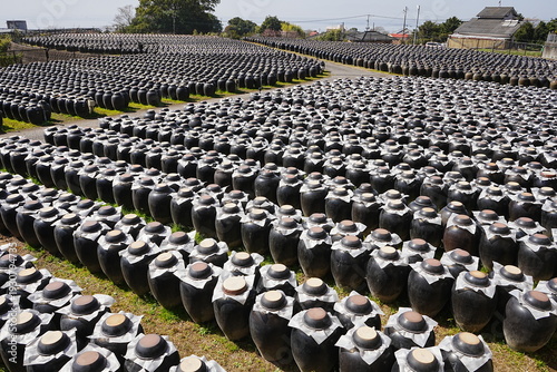 Traditional Black Vinegar Jars Tsubobatake Field in Kagoshima, Japan - 日本 鹿児島 黒酢 壺畑

