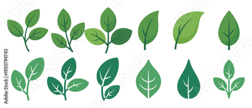 Fresh green leaf icons, rounded foliage collection for design. vector illustration eps 10
