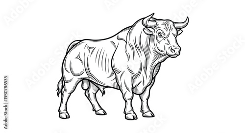Detailed black and white sketch of a powerful muscular bull standing firmly