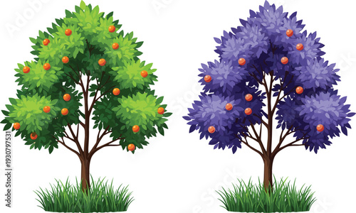 Fruit Tree Vector Illustration Set with Orange and Purple Foliage Trees in Grass Nature Design Collection