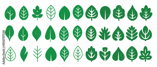 Symmetrical green leaf vector icons, natural plant symbols. vector illustration eps 10