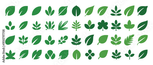 Various green botanical leaf icons for eco friendly design. vector illustration eps 10