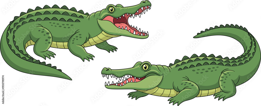 Fototapeta premium Green Crocodile Vector Illustration Set Featuring Large Reptiles with Open Jaws and Sharp Teeth for Wildlife Education, Mascot Design, and Swamp Nature Graphics
