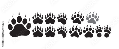 Animal Paw Print Tracks and Footprints Vector Icon Set
