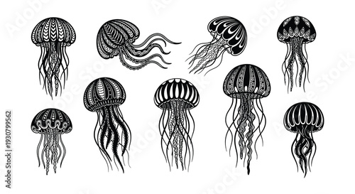 Intricate black and white illustration of various jellyfish designs