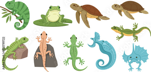Large Vector Set of Exotic Reptiles and Amphibians Featuring Green Tree Chameleons, Sea Turtles, Bullfrogs on Lily Pads, and Tropical Geckos for Nature Education