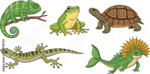 Realistic Vector Illustration Set of Tropical Reptiles and Amphibians Featuring Chameleon, Frog, Turtle, Gecko, and Frilled Lizard for Educational and Wildlife Nature Designs