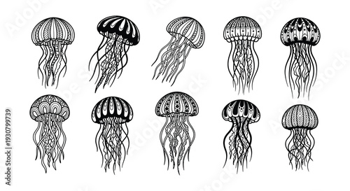 Intricate black and white illustration of various jellyfish designs
