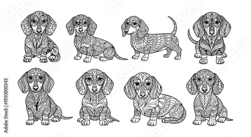 Intricate dachshund designs a collection of patterned canine illustrations