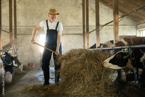 A dedicated farmer lifts hay bales in a barn, emphasizing his tireless work to nurture the livestock.