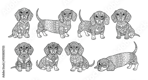 Intricate dachshund designs a collection of patterned canine illustrations