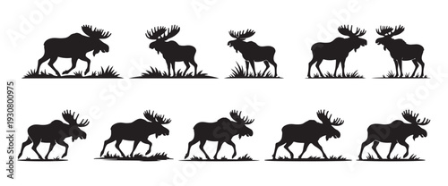 Silhouette of Moose Elk in Nature Vector Illustration
