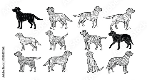 Intricate line art depicting labrador retrievers in various poses