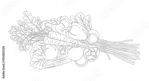 Bundle of Fresh Vegetables Tied with String Line Art on Isolated White Background