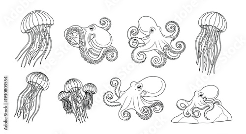 Line art illustration of jellyfish and octopuses in a marine setting