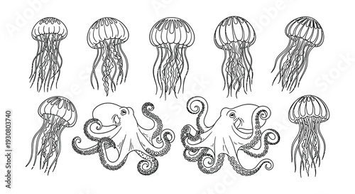 Line art illustration of jellyfish and octopuses in a marine setting