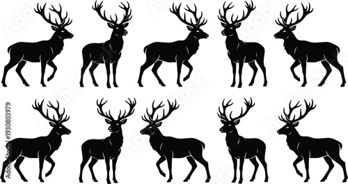 Majestic Deer Stag Silhouette Set with Detailed Antlers in Multiple Poses Isolated on White Background Vector Illustration