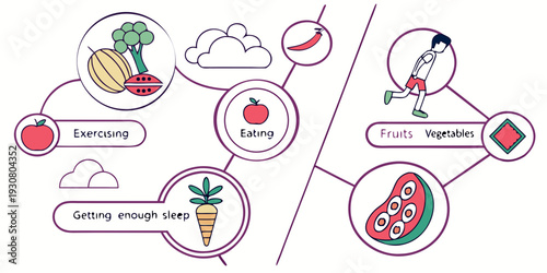 Illustration of the digestive system and nutrient absorption process