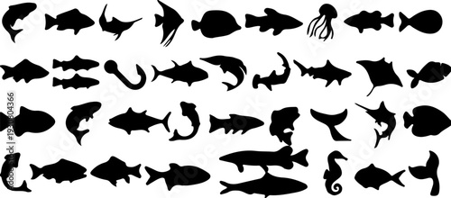 fish, silhouette, sea, ocean, aquatic, marine, animal, wildlife, jellyfish, seahorse, shark, ray, dolphin, tuna, carp, goldfish, betta, angelfish, clownfish, stingray, manta ray, whale shark, hammerhe