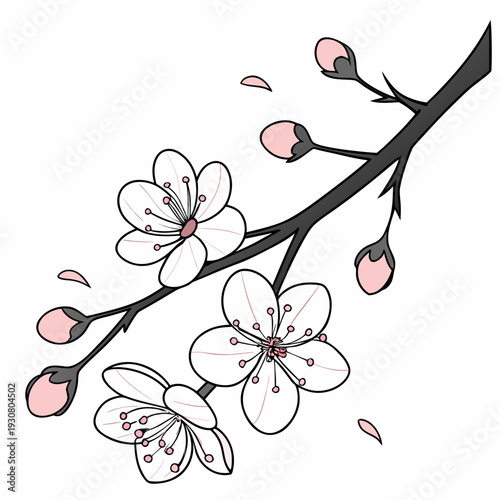 Delicate branches adorned with blossoming flowers in full bloom