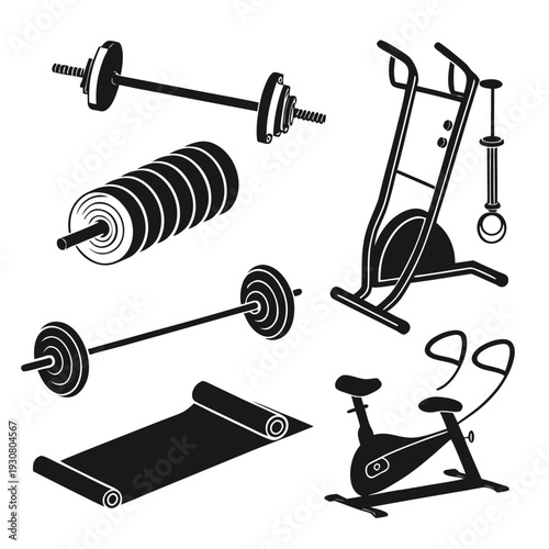 A variety of exercise equipment including barbells, a weight bench, and a rowing machine.