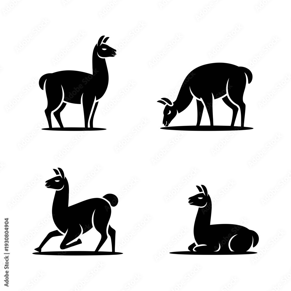 Fototapeta premium This image features four black llama silhouettes captured in various natural poses