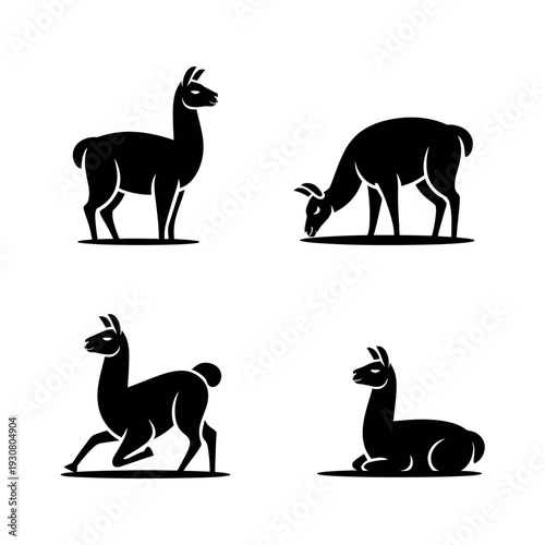 This image features four black llama silhouettes captured in various natural poses