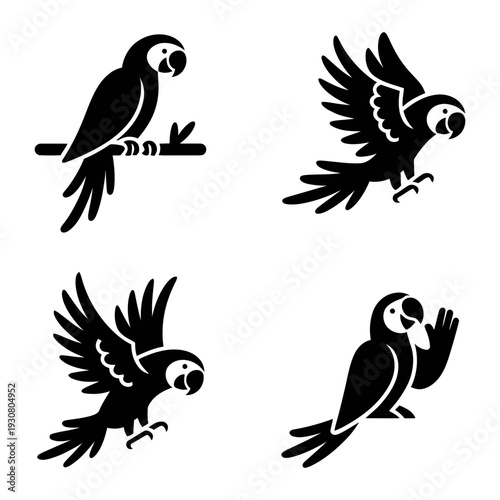 Four sleek black parrot silhouettes are captured in graceful perching and flying positions.