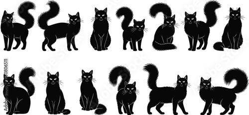 Black cat silhouettes collection in various poses, cute cartoon feline characters set isolated on white background, Halloween vector illustration bundle for decoration and design