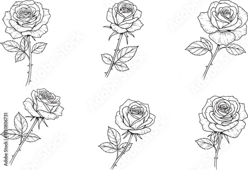 A black and white drawing of six roses on stems
