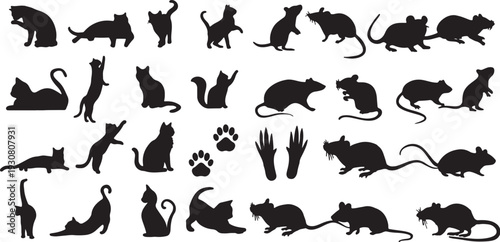 cat, mouse, animal, pet, rodent, silhouette, icon, symbol, creature, mammal, wildlife, nature, black, white, isolated, graphic, illustration, design, element, collection, set, group, paw print, footpr