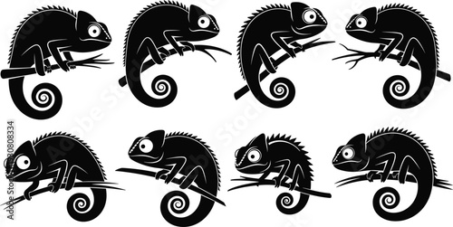 Chameleon silhouette set on branch, exotic reptile collection illustration, wildlife animal poses, black and 