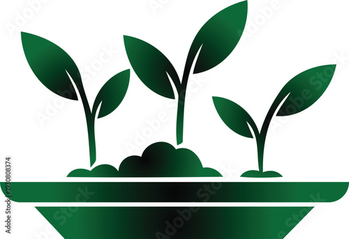 Green plant sprouts growing in soil pot with leaves and stems  natural growth concept