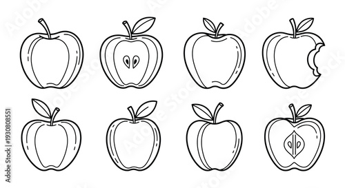 Line art illustration of various apples in different states