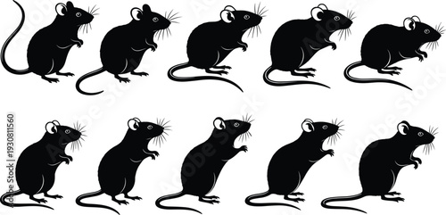 Realistic rat silhouette collection, black rodent animal icons set, detailed mouse shapes, pest vector illustration isolated on background
