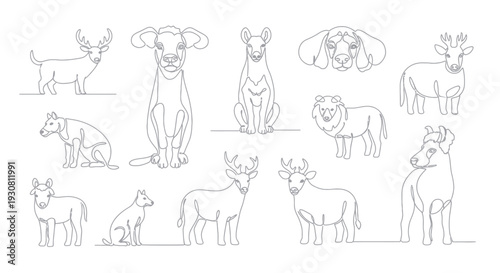 Collection of Various Animal Sketches and Outlines.